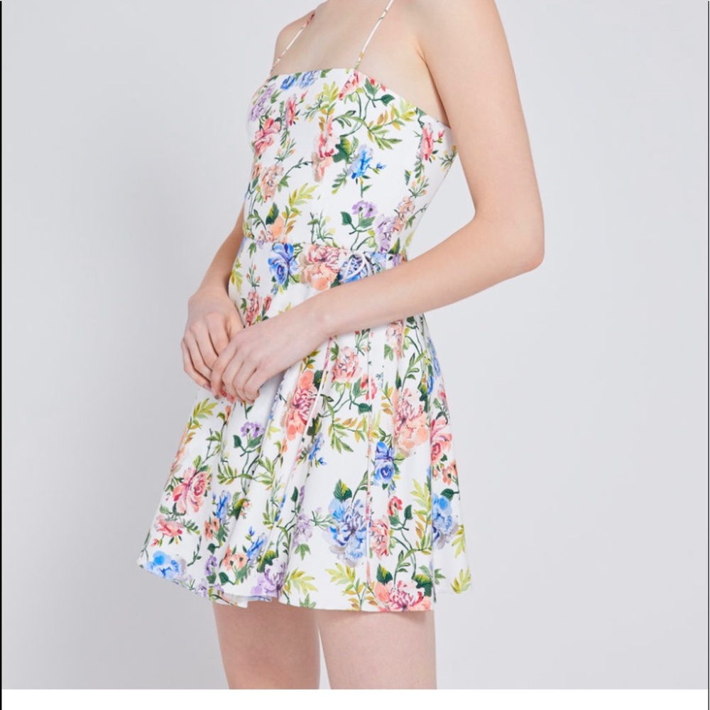 Alice and Olivia dress